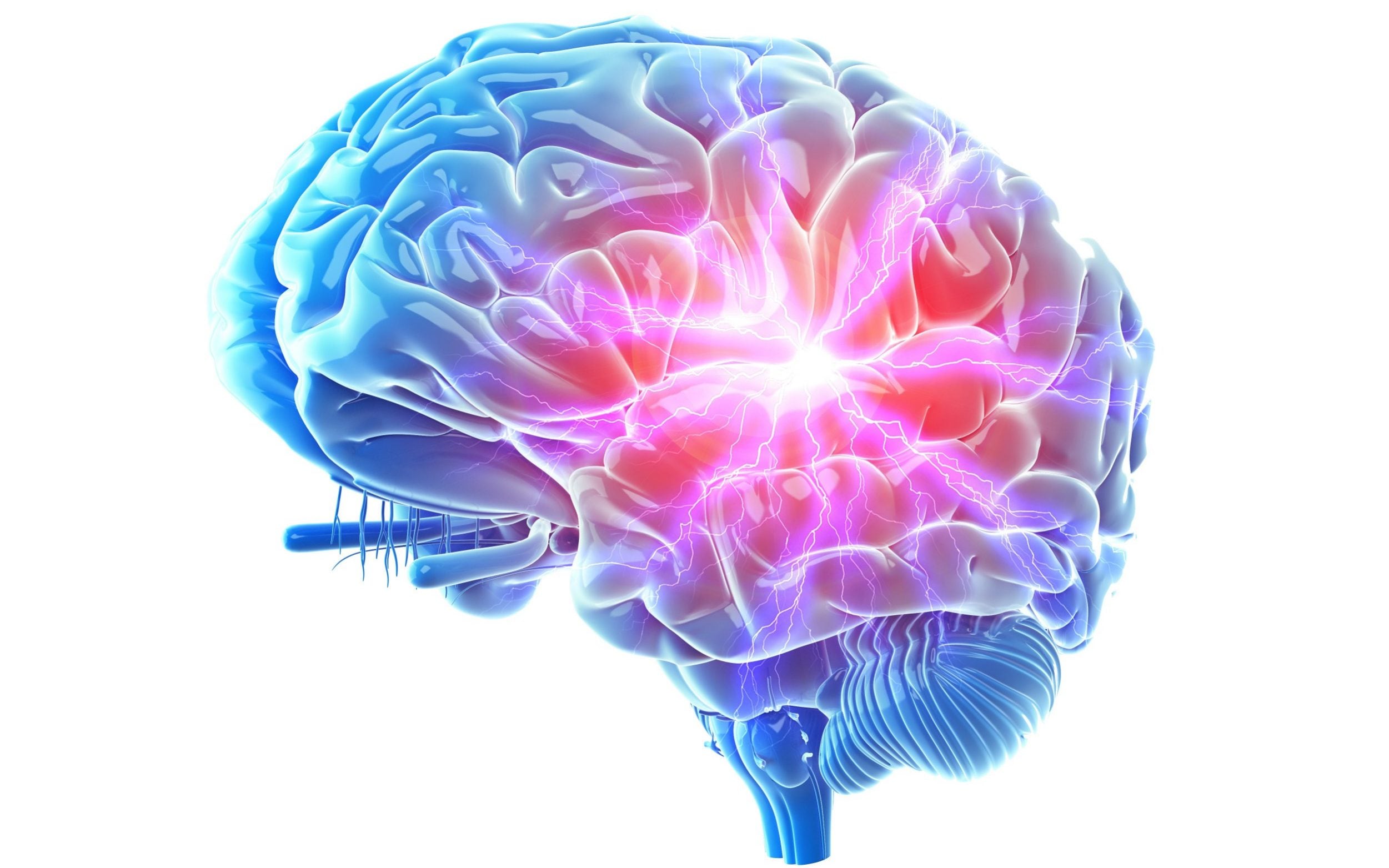 Illustrazione anatomica di un cervello visto di lato, con una zona centrale illuminata di rosa.