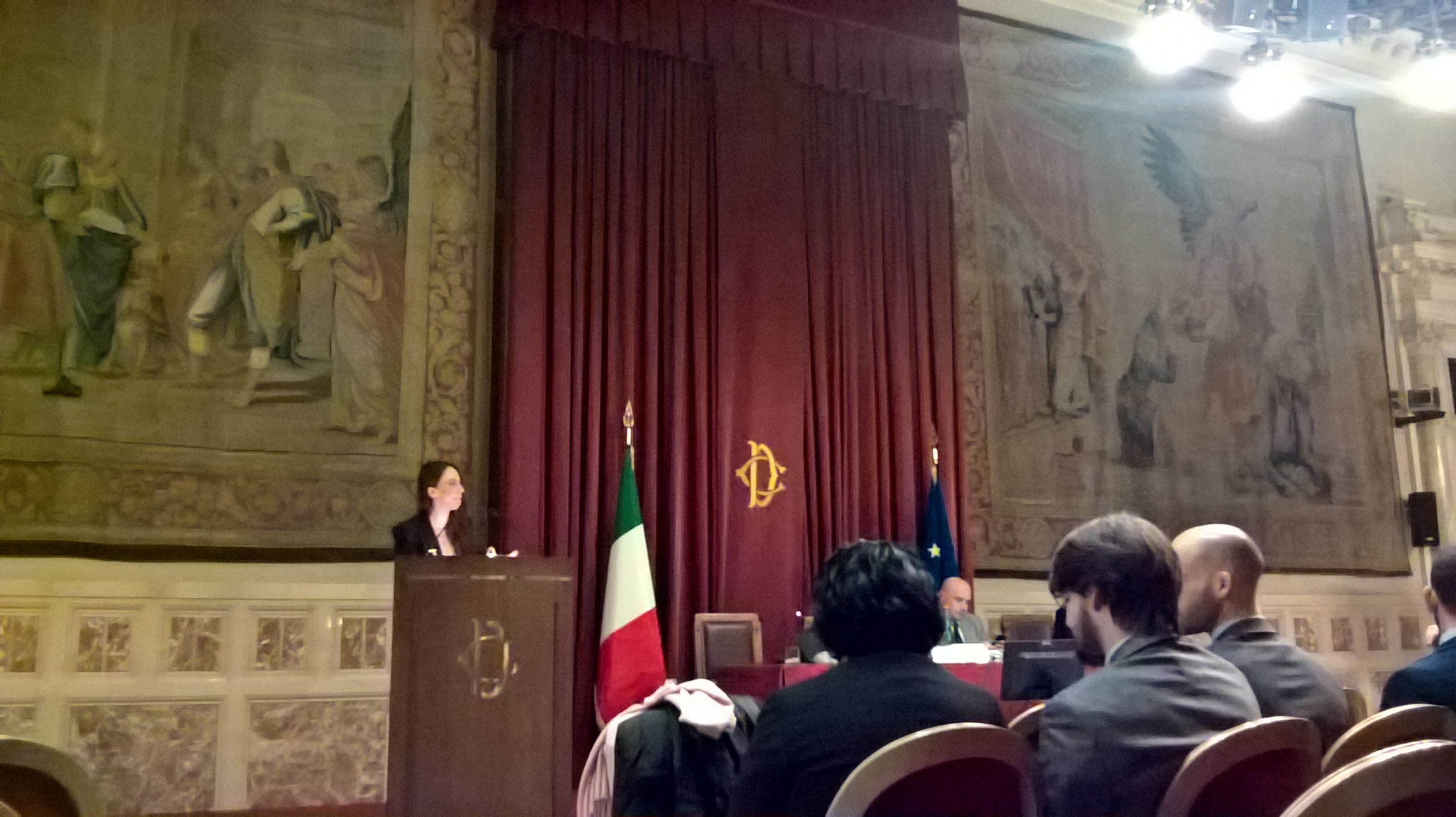La sala parlamentare durante i lavori, con la relatrice al podio e il pubblico seduto.